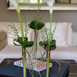 Selin Kutucular X Anatoli Vazo Altın