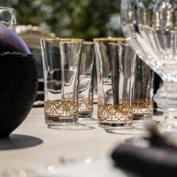 Black Pearl Glassware Set 2 pcs