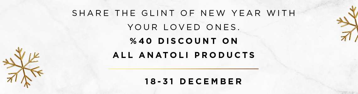 New Year Offer New Year Offer